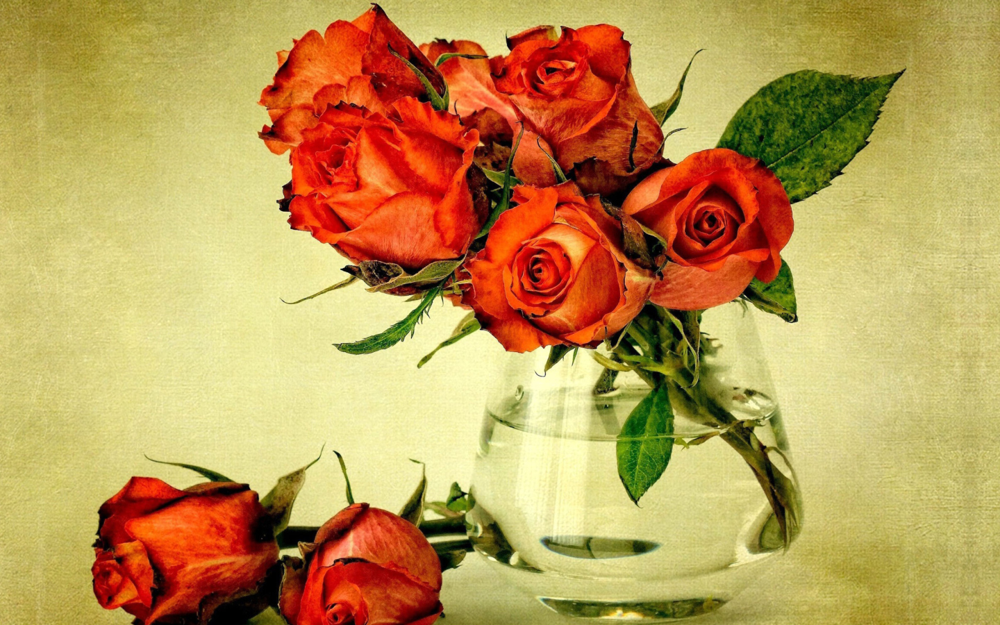 Das Beautiful Roses Wallpaper 1440x900