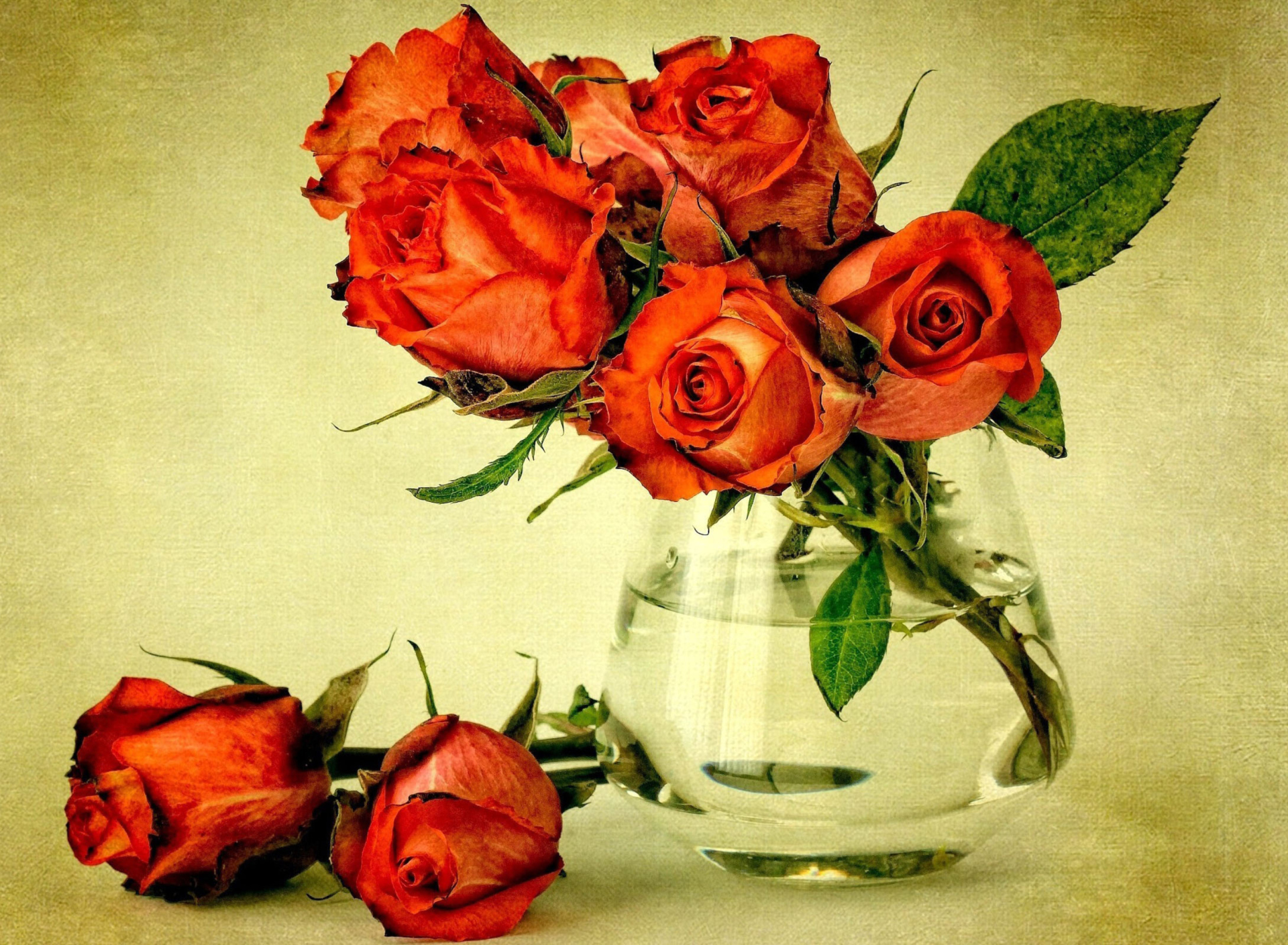 Обои Beautiful Roses 1920x1408