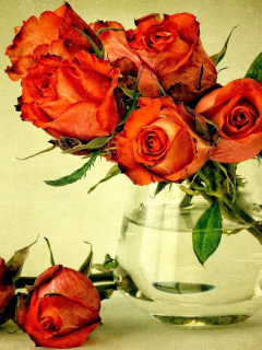 Das Beautiful Roses Wallpaper 240x320