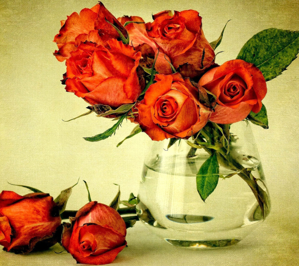 Beautiful Roses wallpaper 960x854