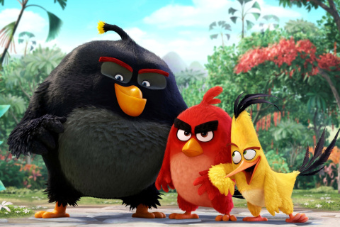 Обои The Angry Birds Comedy Movie 2016 480x320