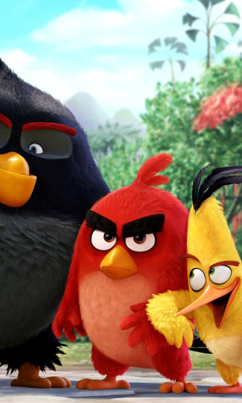 Das The Angry Birds Comedy Movie 2016 Wallpaper 480x800