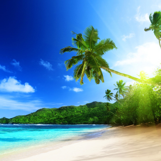 Best Seashore Place on Earth - Obrázkek zdarma pro iPad mini 2