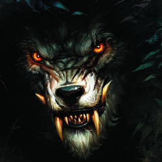 Werewolf Artwork Wallpaper for 1024x1024