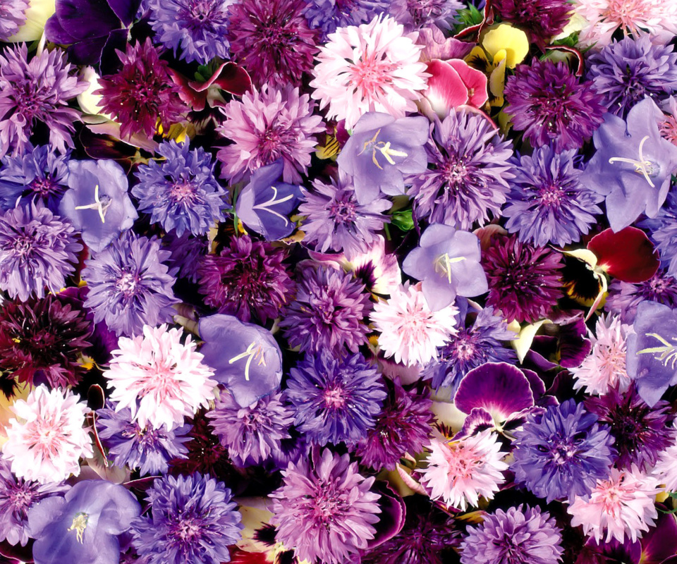 Das Flower carpet from cornflowers, bluebells, violets Wallpaper 960x800