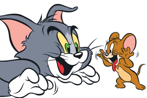 Обои Tom And Jerry 480x320
