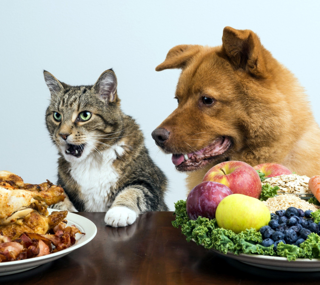 Sfondi Dog and Cat Dinner 1080x960