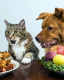 Dog and Cat Dinner wallpaper 128x160