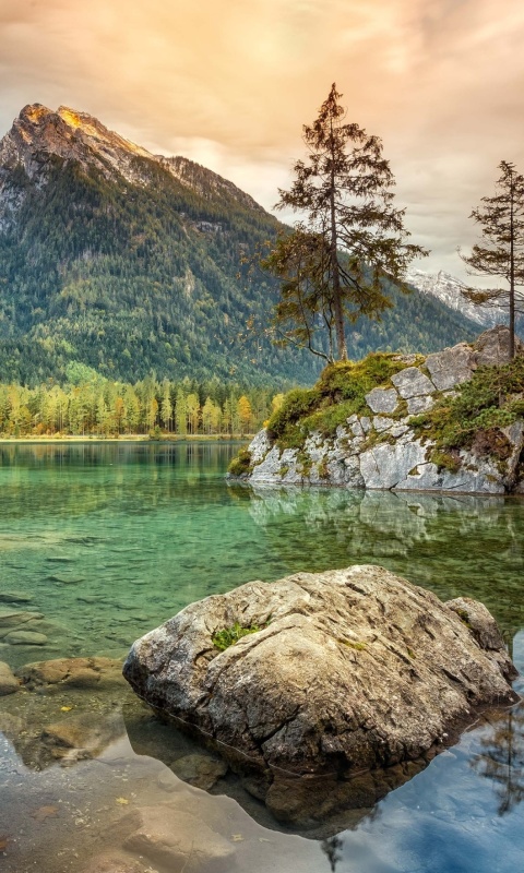 Das Tarn lake in Canada Wallpaper 480x800