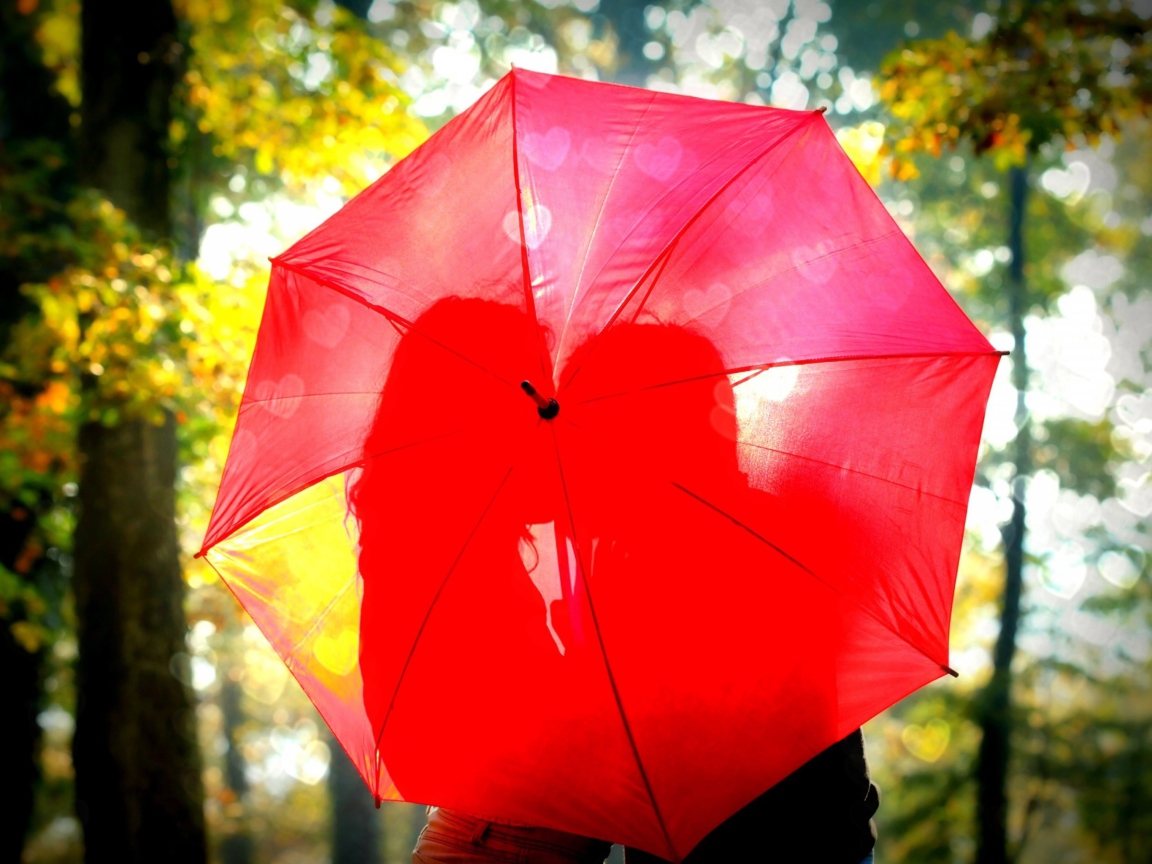 Screenshot №1 pro téma Couple Behind Red Umbrella 1152x864