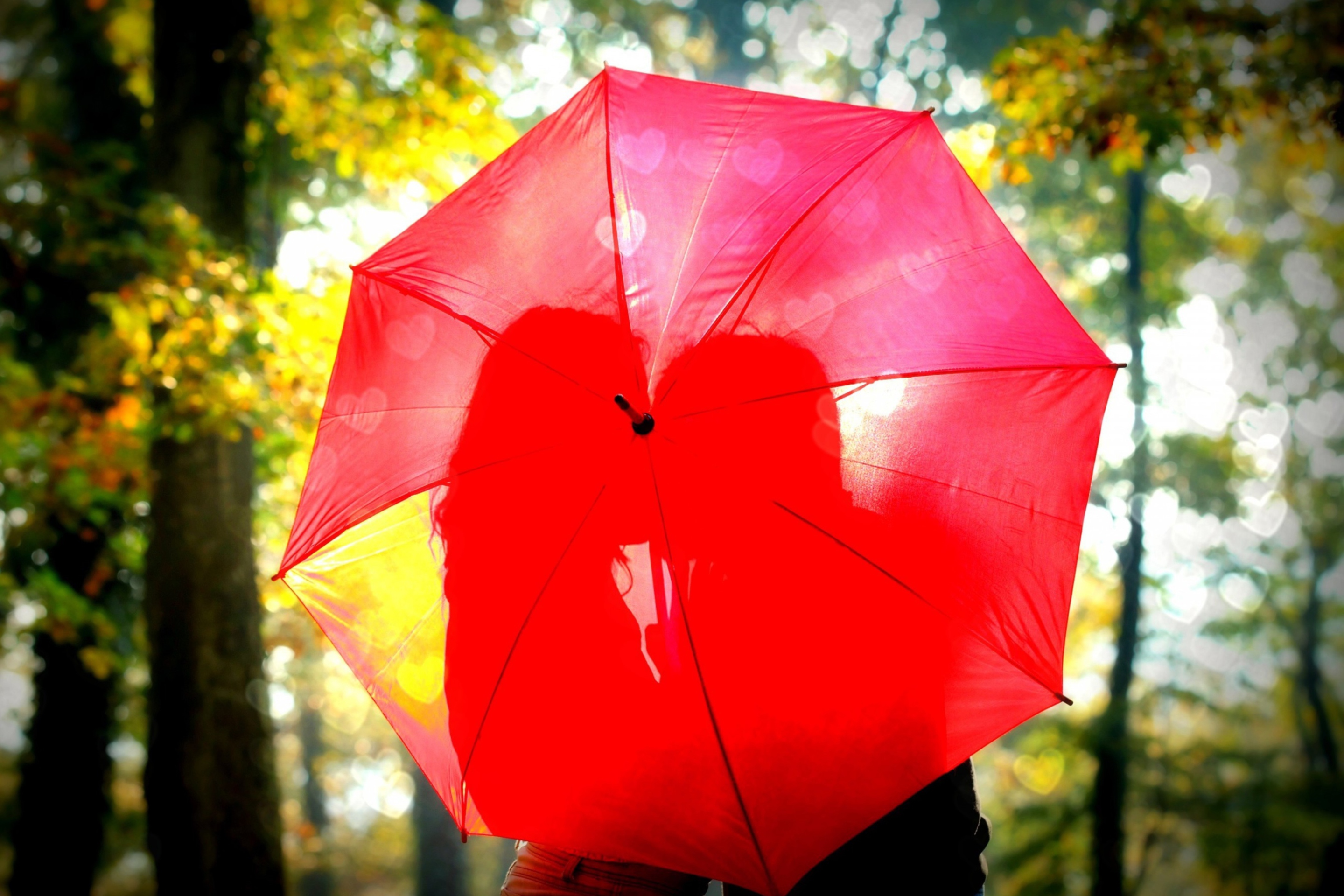 Fondo de pantalla Couple Behind Red Umbrella 2880x1920