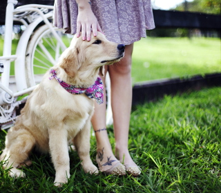 Walking With Best Friend sfondi gratuiti per iPad Air