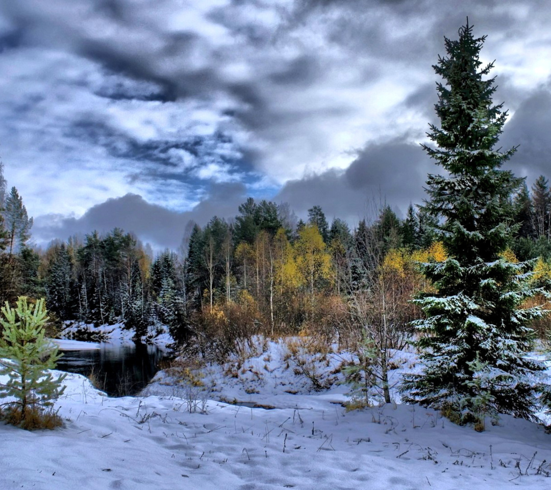 Winter in taiga forest screenshot #1 1080x960