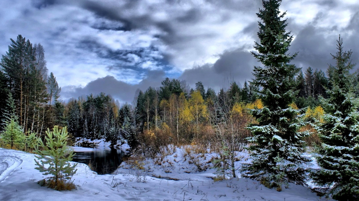 Winter in taiga forest screenshot #1 1366x768