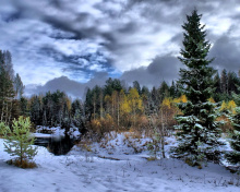 Screenshot №1 pro téma Winter in taiga forest 220x176