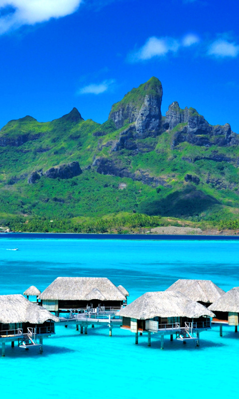 Обои Bora Bora Overwater Bungalow Hotel 480x800