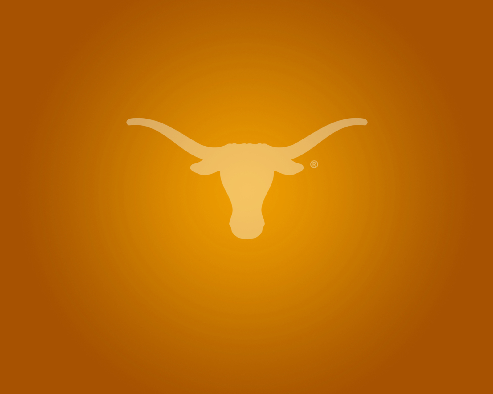 Texas Longhorns wallpaper 1600x1280