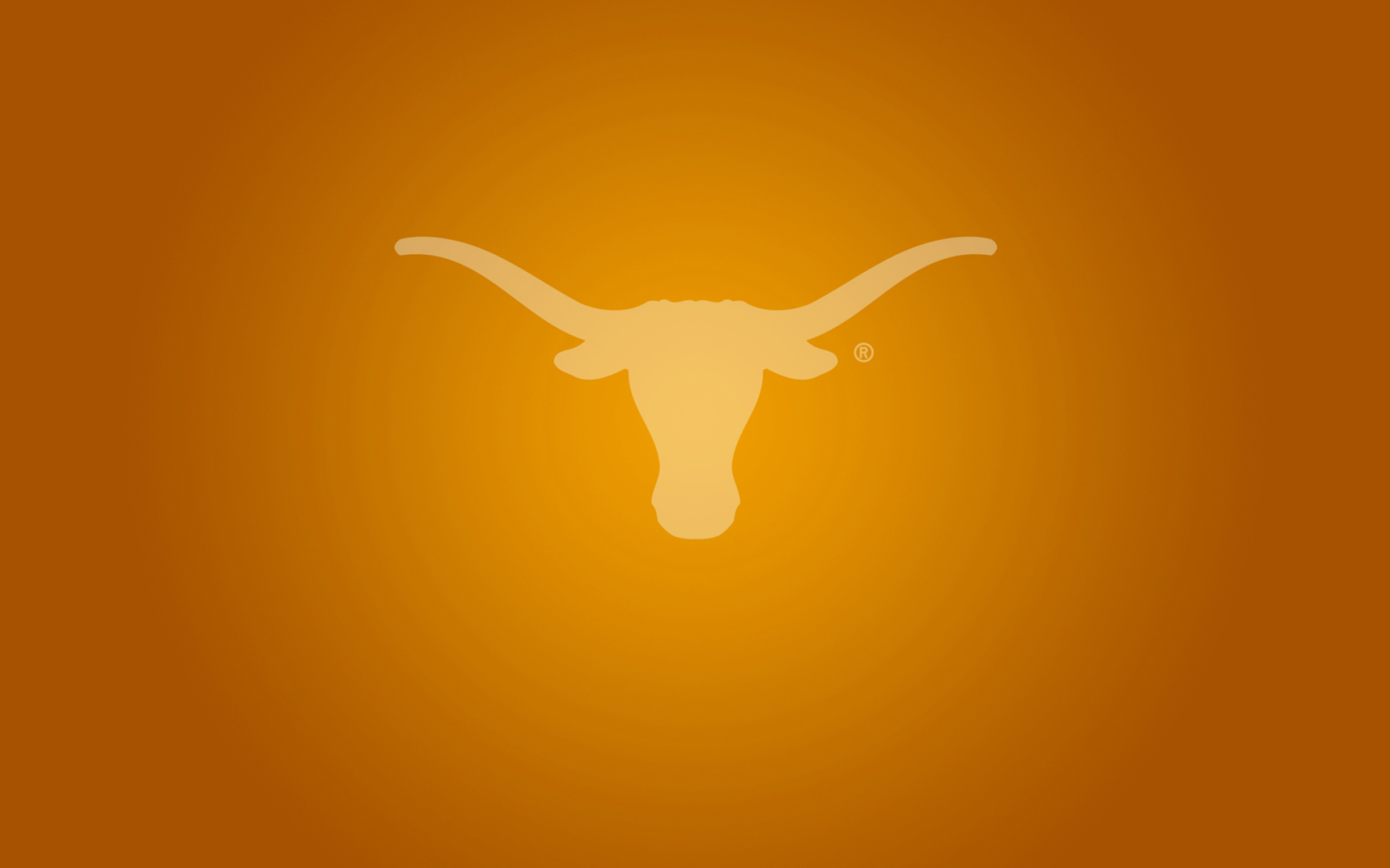 Обои Texas Longhorns 2560x1600