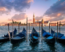 Venice Italy Gondolas wallpaper 220x176