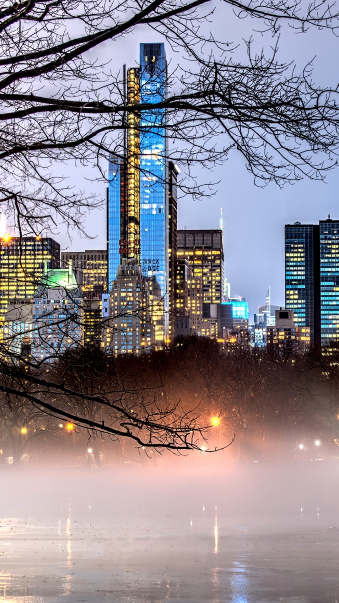 Manhattan View From Central Park wallpaper 1080x1920