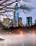 Das Manhattan View From Central Park Wallpaper 128x160