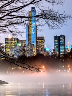 Обои Manhattan View From Central Park 240x320