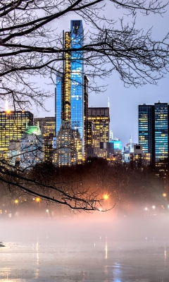 Das Manhattan View From Central Park Wallpaper 240x400