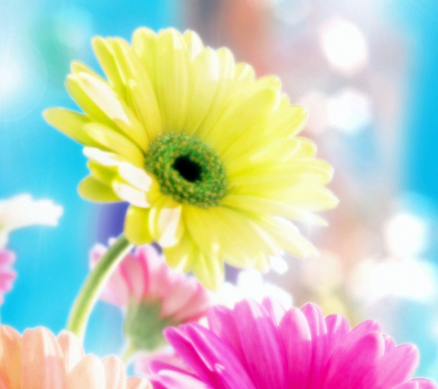 Screenshot №1 pro téma Glamorous Flowers 1440x1280