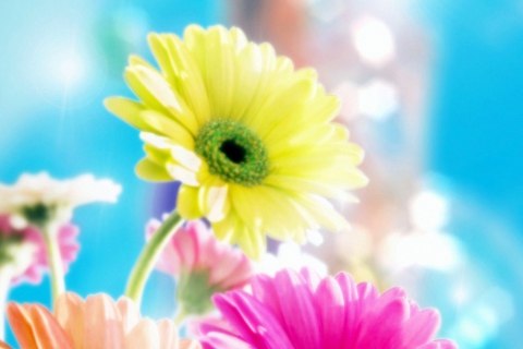 Обои Glamorous Flowers 480x320