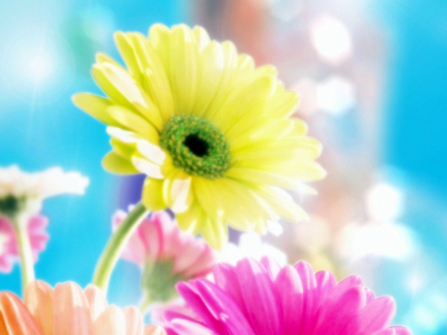 Glamorous Flowers screenshot #1 640x480