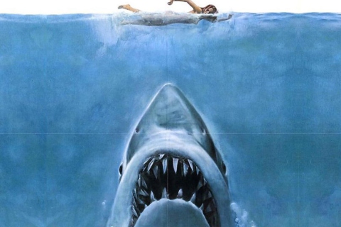 Jaws wallpaper 480x320