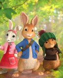 Fondo de pantalla The Tale of Peter Rabbit 128x160