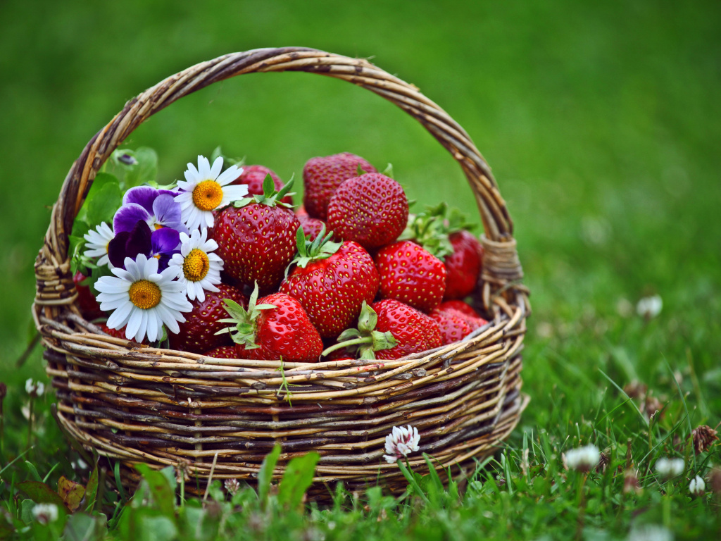 Обои Strawberries in Baskets 1024x768