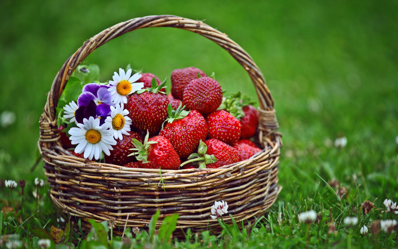 Strawberries in Baskets wallpaper 1280x800