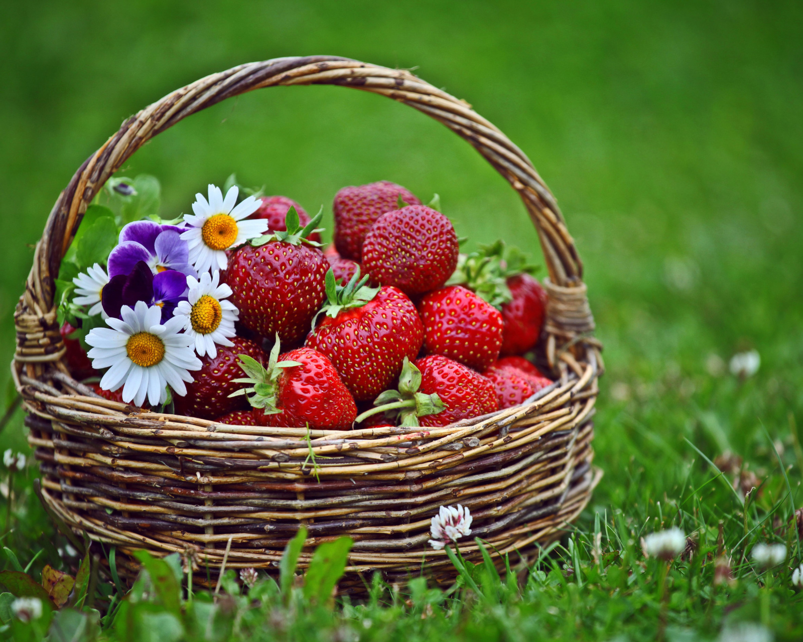 Sfondi Strawberries in Baskets 1600x1280