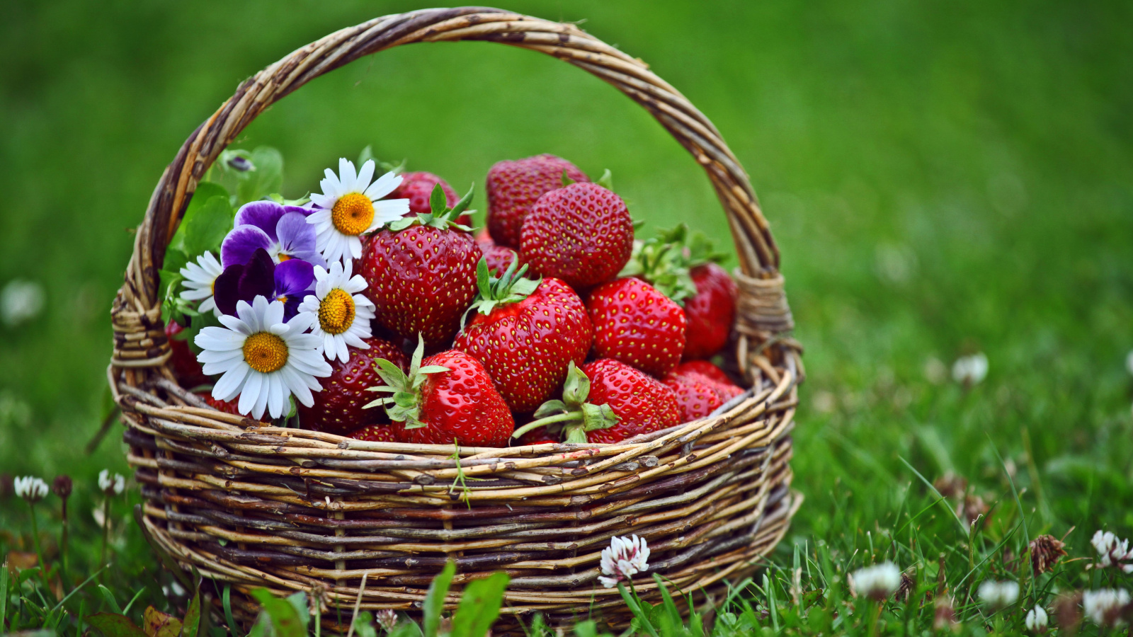 Strawberries in Baskets wallpaper 1600x900