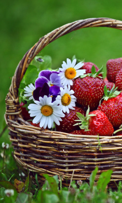 Обои Strawberries in Baskets 240x400