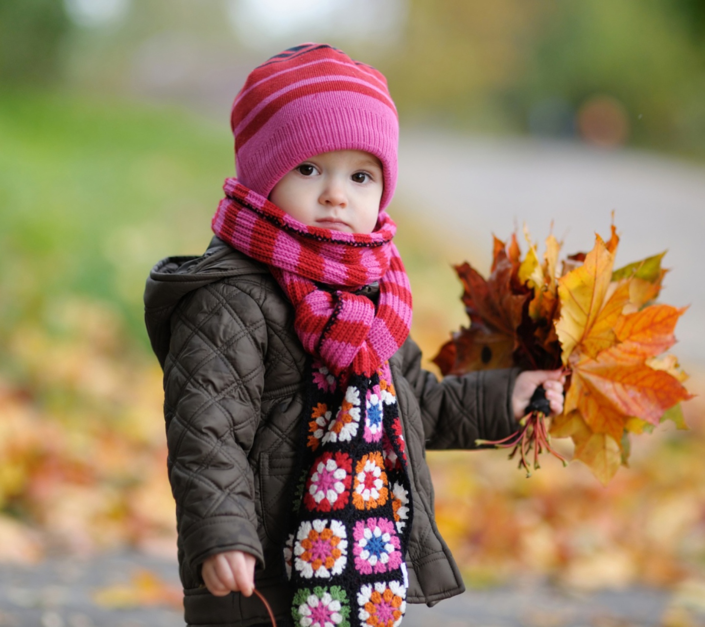 Fondo de pantalla Cute Baby In Autumn 1440x1280
