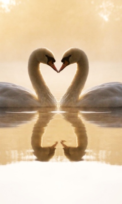 Screenshot №1 pro téma Loving Swans 240x400