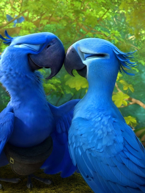 Rio 2 wallpaper 480x640