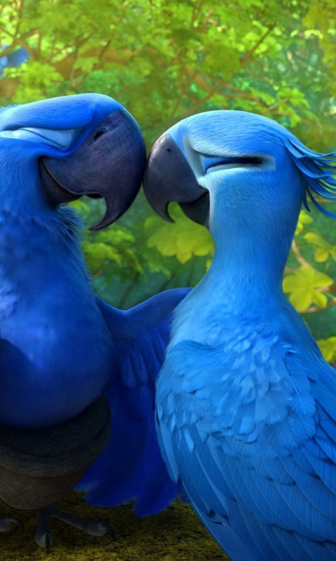 Rio 2 wallpaper 480x800