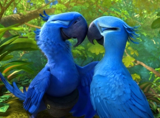 Rio 2 Background for Android, iPhone and iPad
