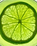 Lime Citrus Fruit screenshot #1 128x160