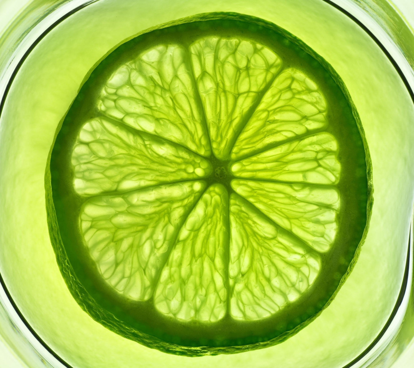 Das Lime Citrus Fruit Wallpaper 1440x1280