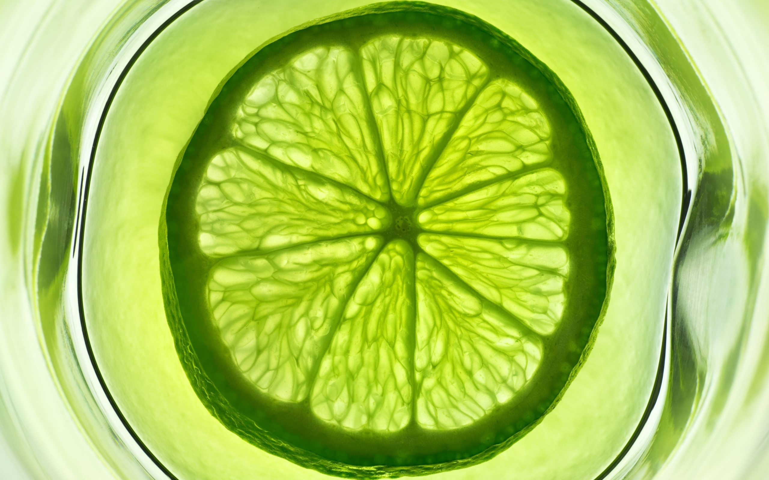 Das Lime Citrus Fruit Wallpaper 2560x1600