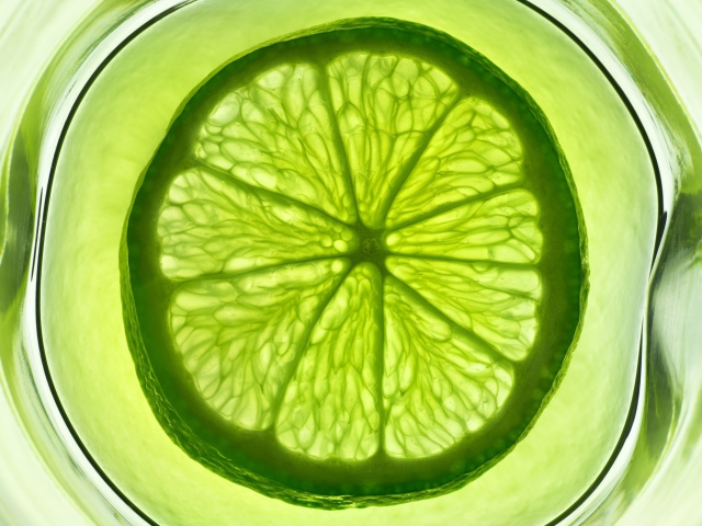 Das Lime Citrus Fruit Wallpaper 640x480
