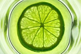 Lime Citrus Fruit - Obrázkek zdarma pro Nokia Asha 201
