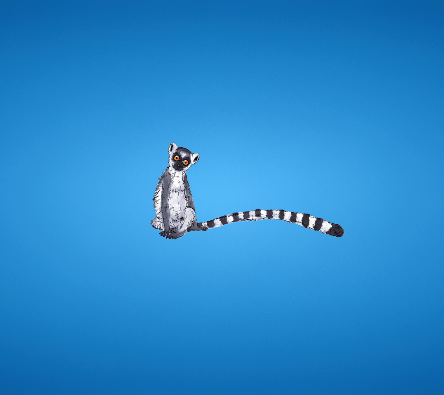 Sfondi Lemur On Blue Background 1440x1280