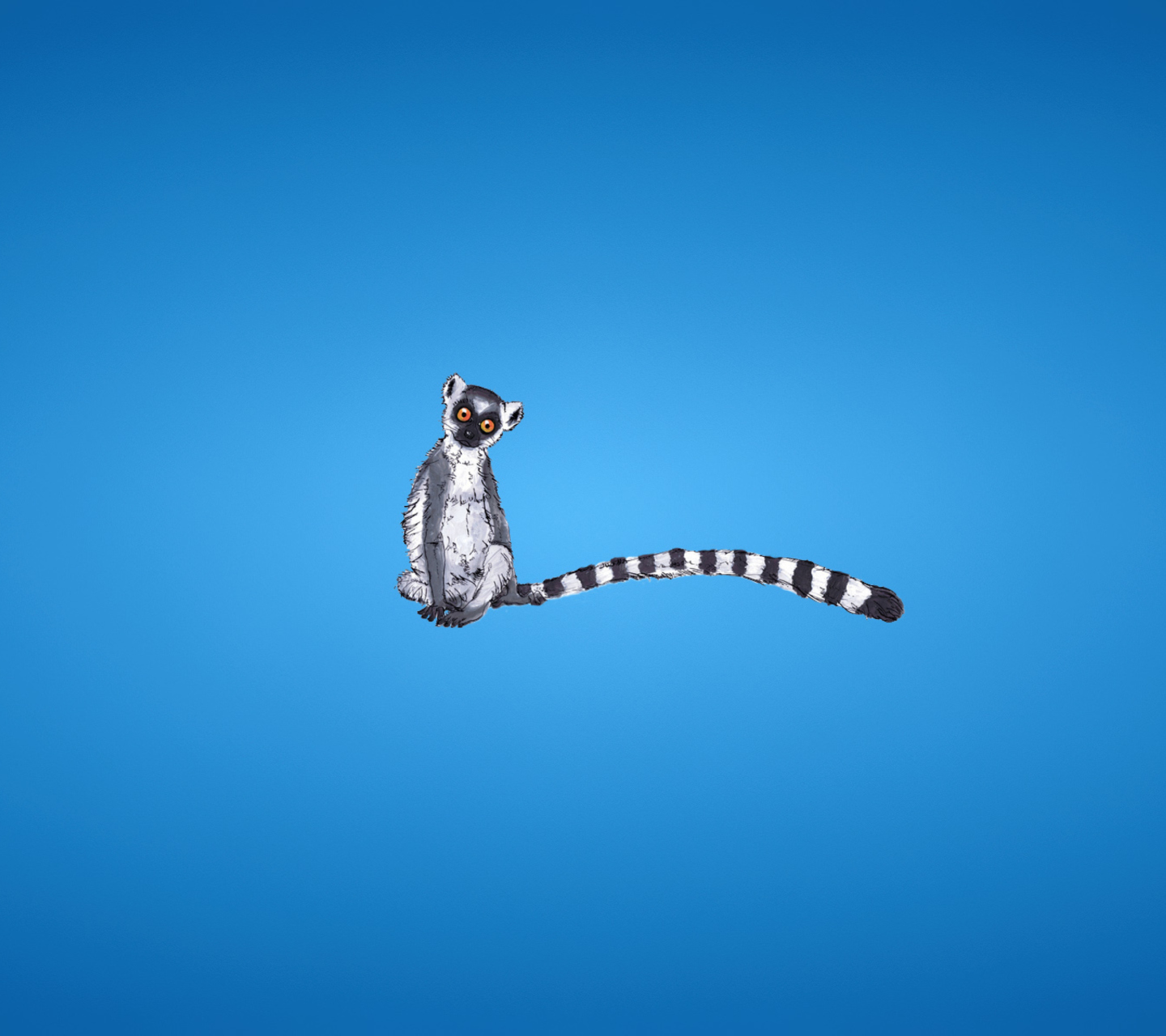 Das Lemur On Blue Background Wallpaper 1440x1280