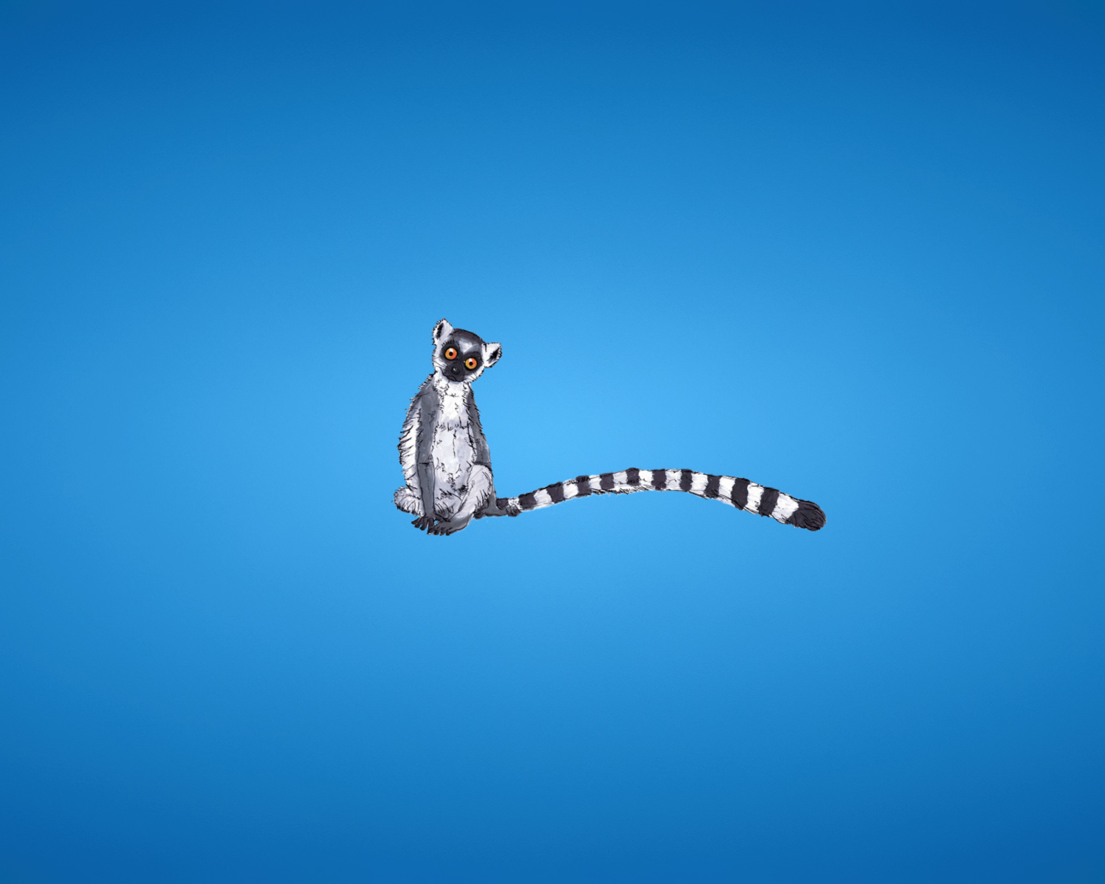 Обои Lemur On Blue Background 1600x1280